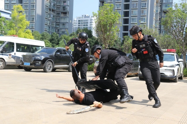微信图片_20240805110702