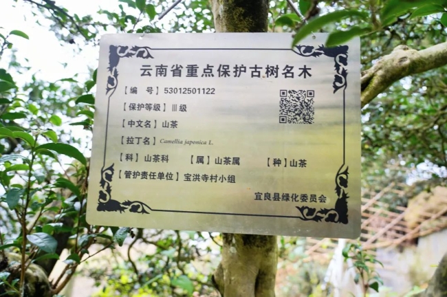 微信图片_20241225155532